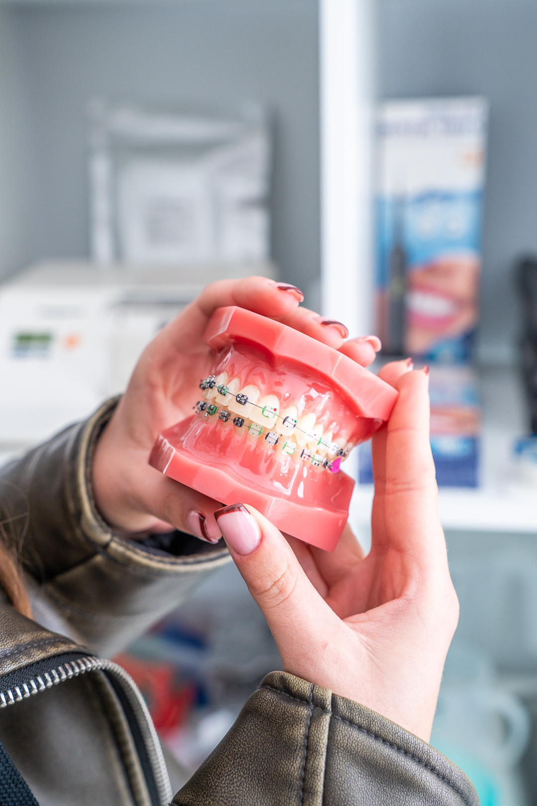 model szczęki z aparatem ortodontycznym